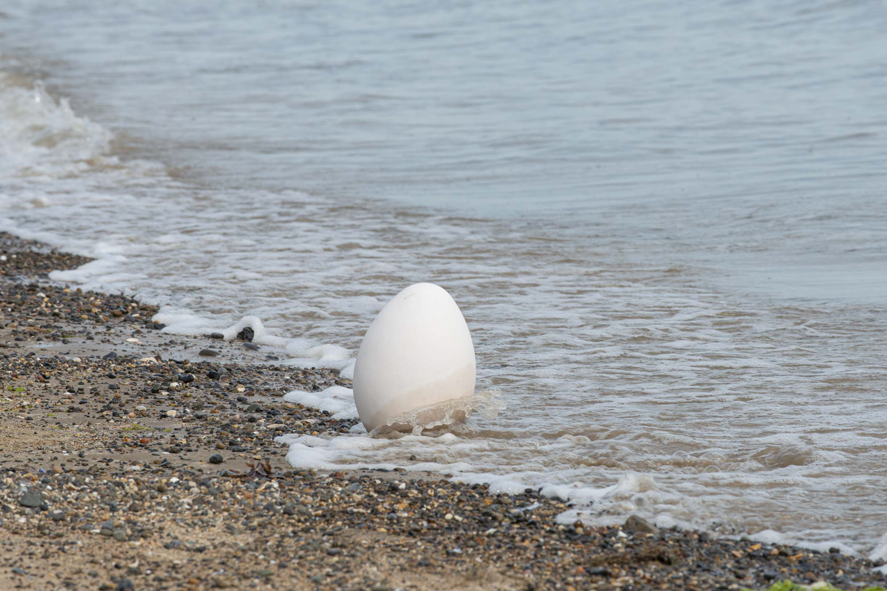 Mary Conroy and Joanna Hopkins, Special Area of CoNversation, An Urgent Enquiry Residency Programme, 2019